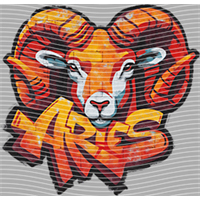 Constellation-XZ 165